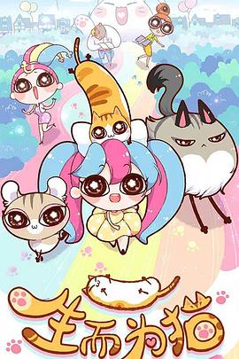 SEO网站关键字辅助优化官网